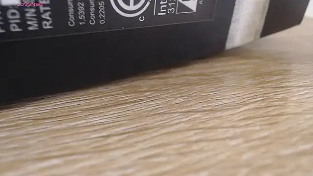 liseth fox online show from 03-24-26, 07:30