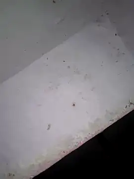 Snapshot of Srmotrs chatting on 02-03-26, 07:08 Srmotrs online show from 02-03-26, 07:08