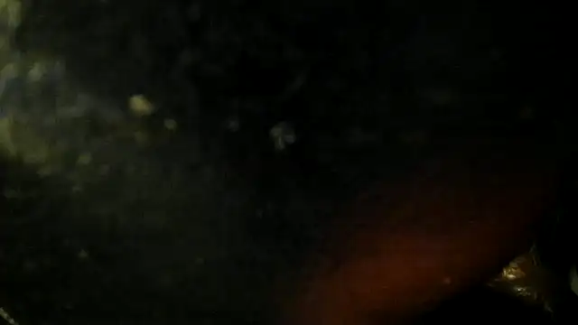 leatherz69 online show from 05-22-26, 02:40