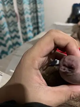 thecockybouy online show from 03-01-25, 04:37