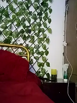 amatista 3012 online show from 10-13-25, 11:54