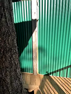 twist699 online show from 11-04-25, 06:07