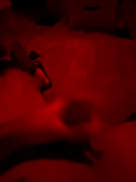 Amo 2121 online show from 12-05-25, 12:08