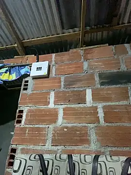 AlexaWarner online show from 03-22-26, 11:41