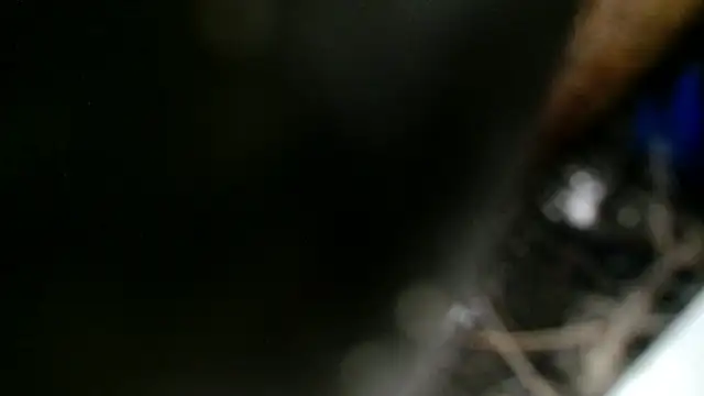 Snapshot of Gigadickman chatting on 12-02-24, 11:40 Gigadickman online show from 12-02-24, 11:40