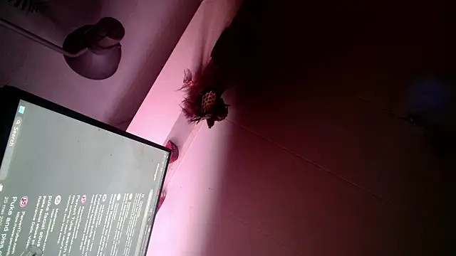 Snapshot of Gigadickman chatting on 12-13-24, 06:00 Gigadickman online show from 12-13-24, 06:00