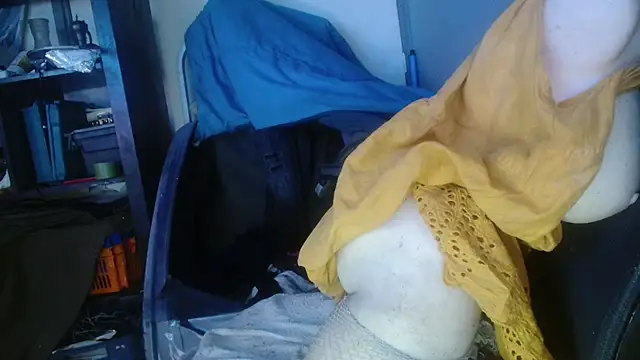 Snapshot of Gigadickman chatting on 01-29-25, 02:19 Gigadickman online show from 01-29-25, 02:19