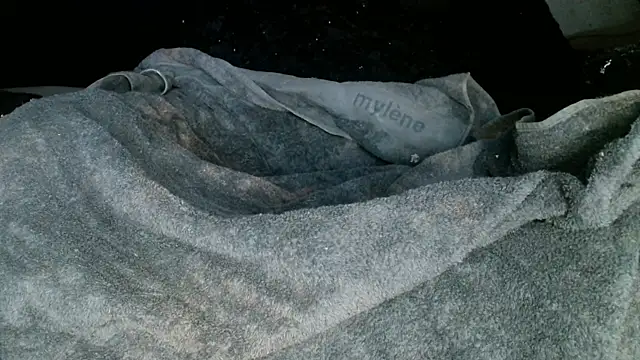 Snapshot of Gigadickman chatting on 03-02-25, 05:12 Gigadickman online show from 03-02-25, 05:12