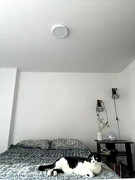 SofiaG  online show from 10-04-25, 07:01