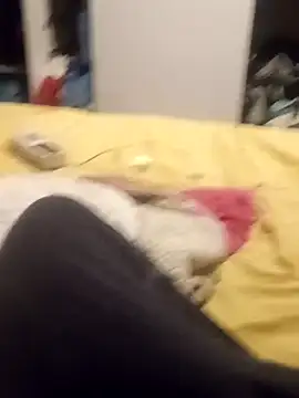 taradobbsafadok online show from 10-25-25, 11:32