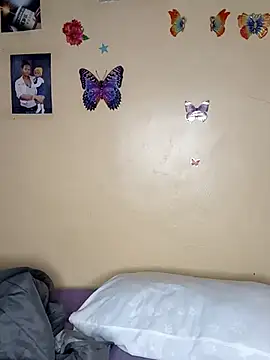  Thicky Stallion online show from 02-19-25, 11:57