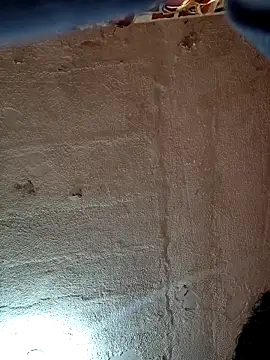 VL25DN26 online show from 02-11-26, 09:42