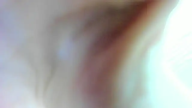 Snapshot of AishaRouhi chatting on 01-17-25, 04:49 AishaRouhi online show from 01-17-25, 04:49