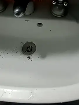 Chancho141414 online show from 11-15-25, 04:47