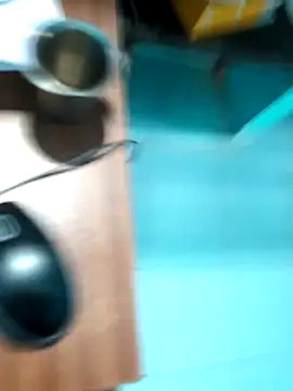 rajesh31tamil online show from 01-04-25, 07:34