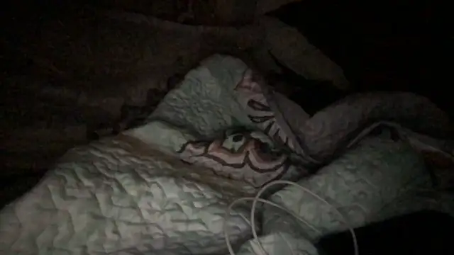 loveofbea online show from 10-23-25, 05:07