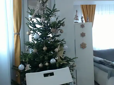 GoldenMark online show from 12-20-24, 12:05