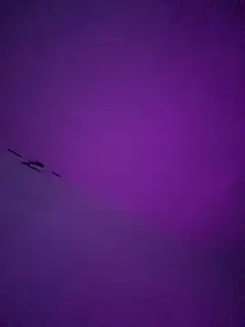 LiosArmando420 online show from 01-06-26, 01:59