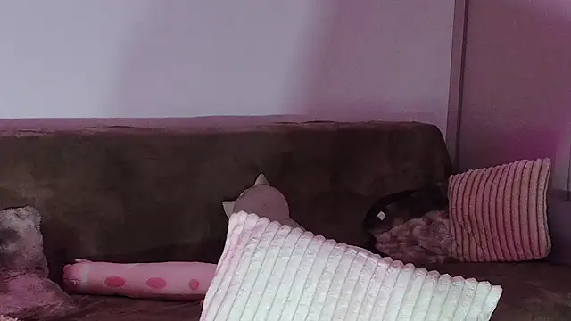 Snapshot of Eva_Millar chatting on 02-21-26, 08:26 Eva Millar online show from 02-21-26, 08:26