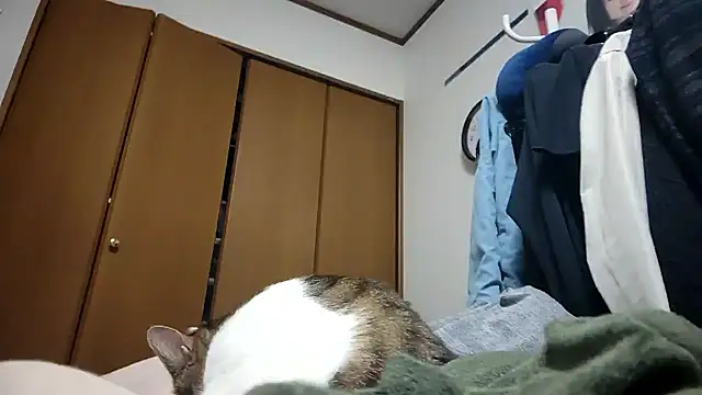 07YUKIO online show from 04-24-26, 09:23