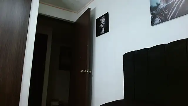 Snapshot of Hendry_ chatting on 01-31-25, 01:33 Hendry online show from 01-31-25, 01:33