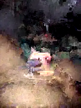 Zenfox24 online show from 04-07-26, 11:43