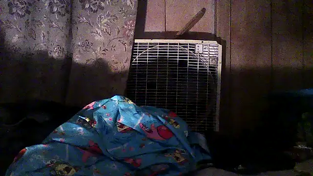 luke thighwalker2469 online show from 12-02-25, 02:50