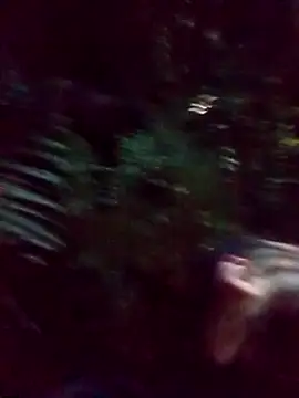 Snapshot of mis312 chatting on 03-05-25, 02:36 mis312 online show from 03-05-25, 02:36