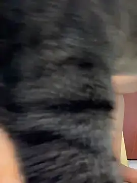 Barbielatinas online show from 02-14-26, 04:31