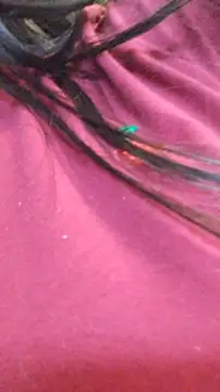 ailyn miranda online show from 11-29-25, 07:50