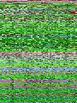 Bella babei01 online show from 01-11-26, 11:04