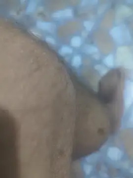 Snapshot of Sunnyboy7897 chatting on 03-09-26, 10:47 Sunnyboy7897 online show from 03-09-26, 10:47