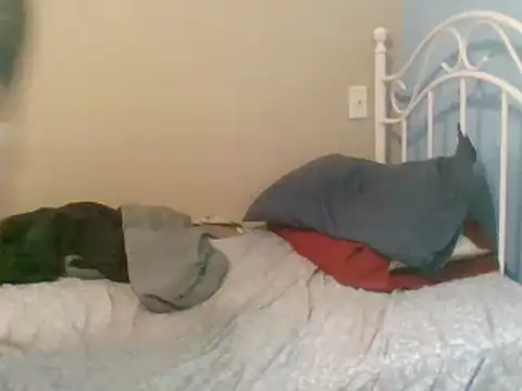 Snapshot of SmokingSloth chatting on 03-09-25, 05:06 SmokingSloth online show from 03-09-25, 05:06