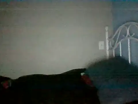 Snapshot of SmokingSloth chatting on 03-16-25, 05:14 SmokingSloth online show from 03-16-25, 05:14