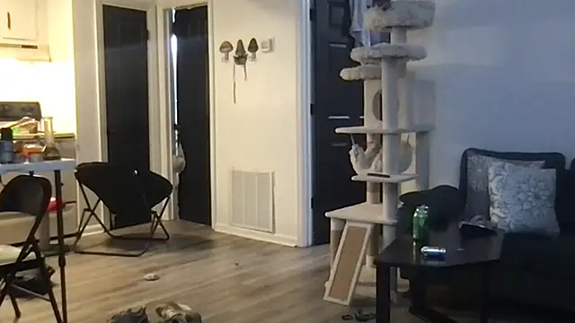 Snapshot of SpunCandy chatting on 10-01-25, 04:29 SpunCandy online show from 10-01-25, 04:29