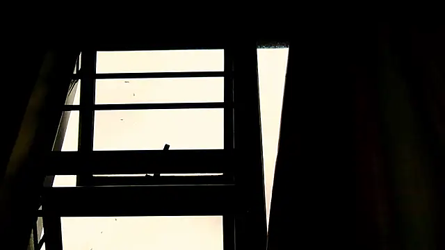 daddyzgal online show from 06-03-26, 09:45