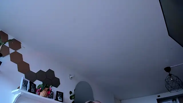 evy orange1 online show from 03-05-26, 12:12