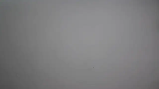 Cute-Tanya online show from 02-10-26, 01:59