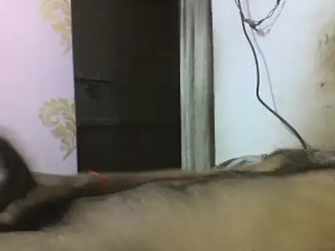 Snapshot of Desi_GfBf chatting on 03-03-25, 05:50 Desi GfBf online show from 03-03-25, 05:50