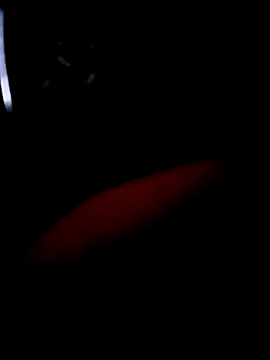 pascalino100 online show from 04-04-26, 12:02