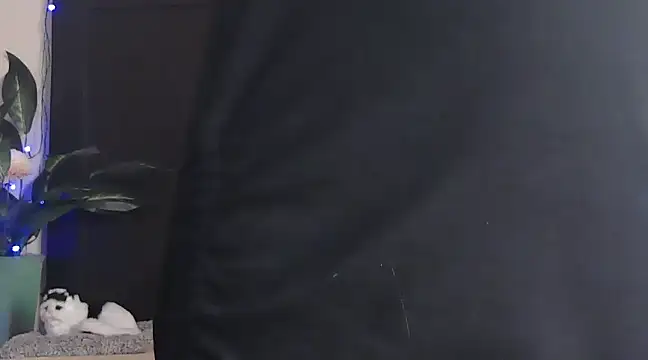 Snapshot of WildRuhi20 chatting on 01-25-25, 11:13 WildRuhi20 online show from 01-25-25, 11:13