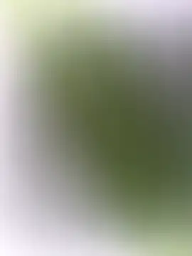 mrwright878787 online show from 12-27-24, 07:14