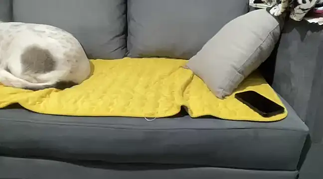 4small4inchlol online show from 01-28-25, 10:12