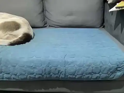 4small4inchlol online show from 02-25-25, 05:47