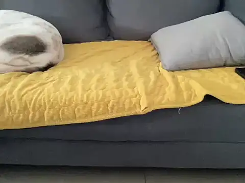 4small4inchlol online show from 10-13-25, 10:48