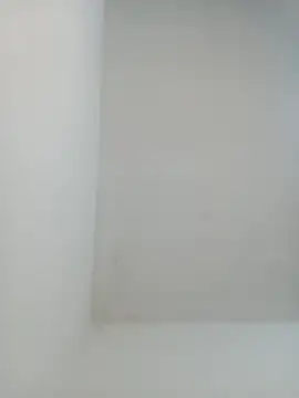 igor miller20 online show from 02-01-25, 09:29