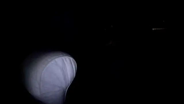 Snapshot of byakkotorra chatting on 03-05-25, 09:48 byakkotorra online show from 03-05-25, 09:48