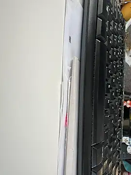 Snapshot of byakkotorra chatting on 03-06-25, 04:38 byakkotorra online show from 03-06-25, 04:38