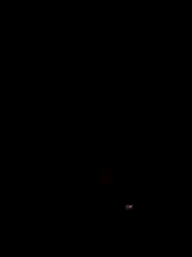 Porco81cazzo online show from 02-19-26, 02:29