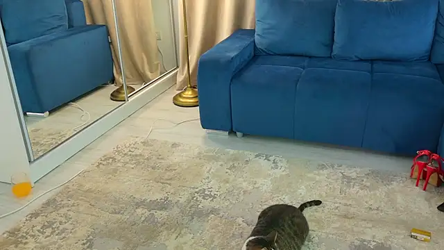 Addictive T online show from 02-12-25, 04:54